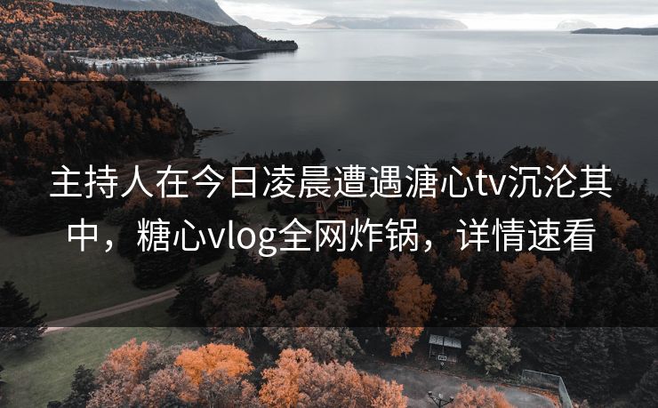 主持人在今日凌晨遭遇溏心tv沉沦其中，糖心vlog全网炸锅，详情速看