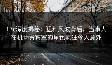 17c深度揭秘：猛料风波背后，当事人在机场贵宾室的角色疯狂令人意外