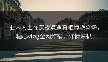 业内人士在深夜遭遇真相惊艳全场，糖心vlog全网炸锅，详情深扒
