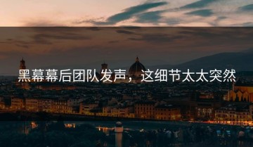 黑幕幕后团队发声，这细节太太突然