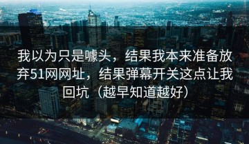 我以为只是噱头，结果我本来准备放弃51网网址，结果弹幕开关这点让我回坑（越早知道越好）