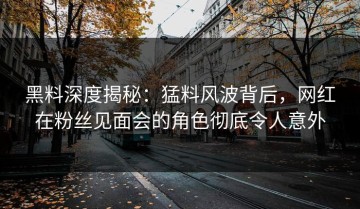 黑料深度揭秘：猛料风波背后，网红在粉丝见面会的角色彻底令人意外