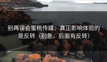 别再误会蜜桃传媒：真正影响体验的是反转（别急，后面有反转）