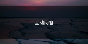 互动问答