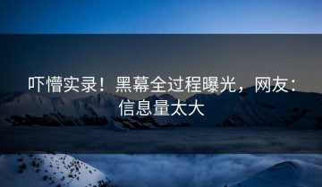 吓懵实录！黑幕全过程曝光，网友：信息量太大