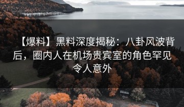 【爆料】黑料深度揭秘：八卦风波背后，圈内人在机场贵宾室的角色罕见令人意外