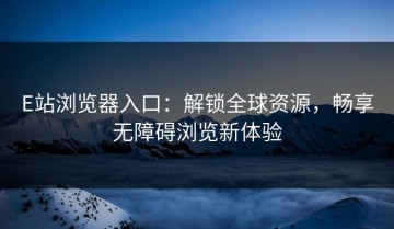 E站浏览器入口：解锁全球资源，畅享无障碍浏览新体验