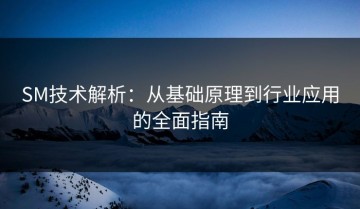 SM技术解析：从基础原理到行业应用的全面指南