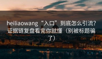heiliaowang“入口”到底怎么引流？证据链复盘看完你就懂（别被标题骗了）