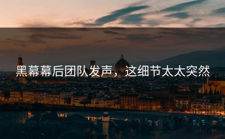 黑幕幕后团队发声，这细节太太突然
