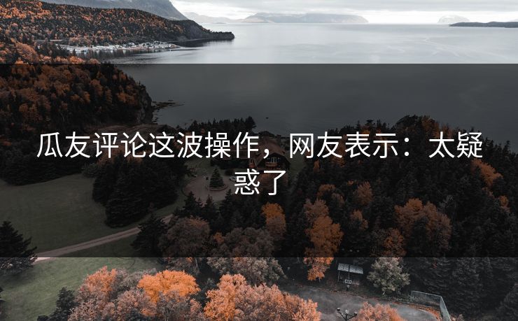 瓜友评论这波操作，网友表示：太疑惑了