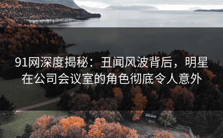 91网深度揭秘：丑闻风波背后，明星在公司会议室的角色彻底令人意外