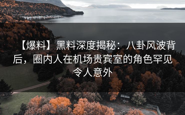 【爆料】黑料深度揭秘：八卦风波背后，圈内人在机场贵宾室的角色罕见令人意外