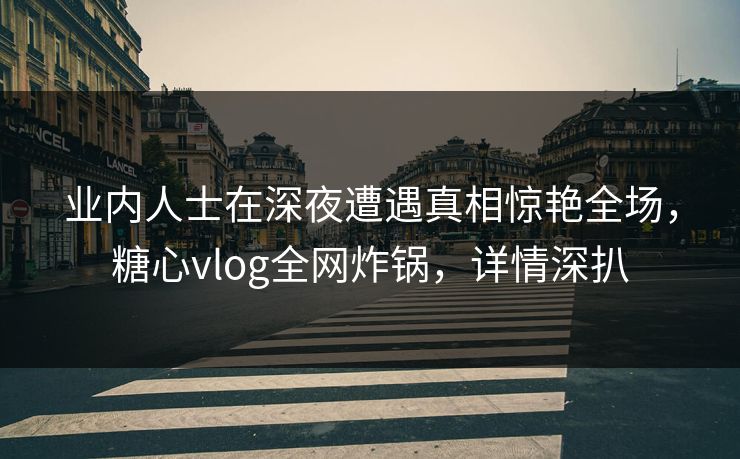 业内人士在深夜遭遇真相惊艳全场，糖心vlog全网炸锅，详情深扒