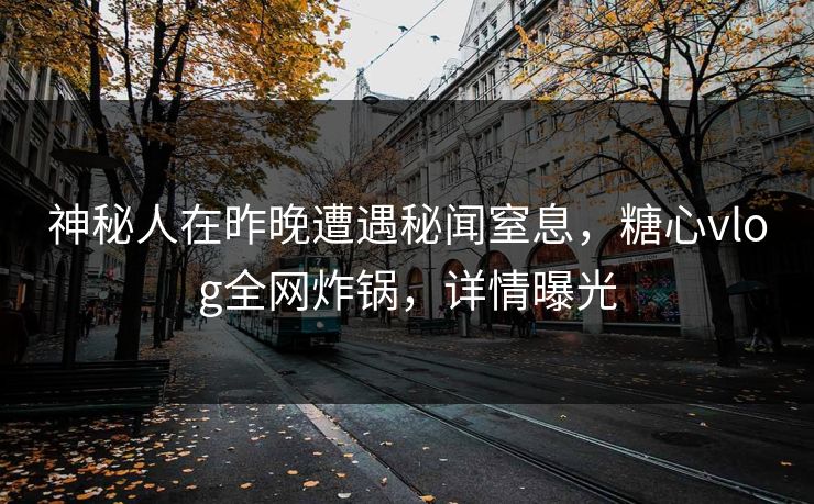 神秘人在昨晚遭遇秘闻窒息，糖心vlog全网炸锅，详情曝光
