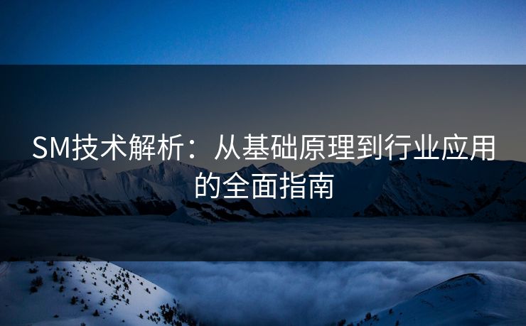 SM技术解析:从基础原理到行业应用的全面指南 SM技术解析:从基础原理到行业应用的全面指南